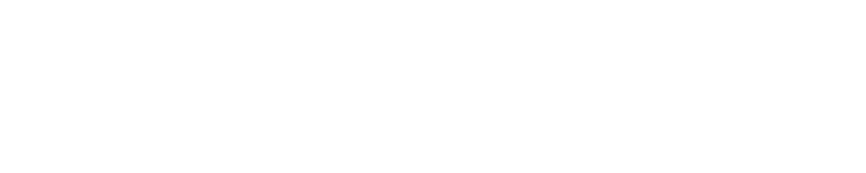 SNG Synergroup